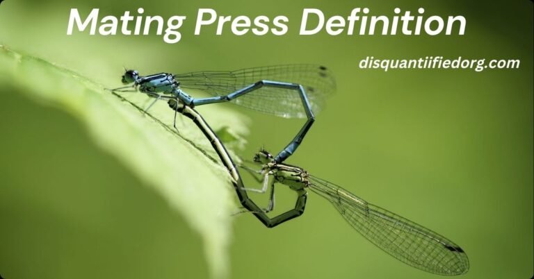 Mating Press Definition: Everything You Need to Know