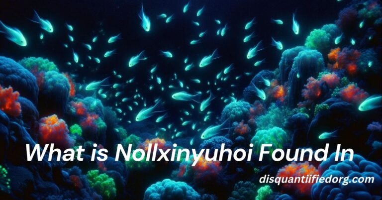 What is Nollxinyuhoi Found In? A Comprehensive Guide
