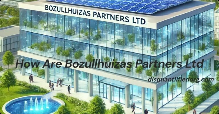 How Are Bozullhuizas Partners Ltd