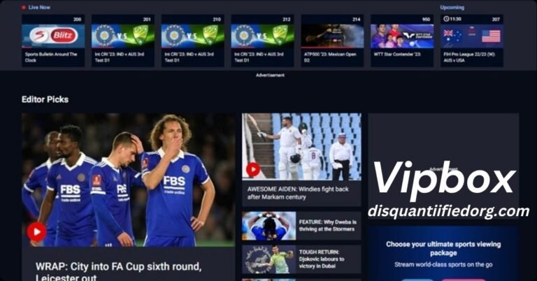 Vipbox: Everything You Need to Know 
