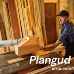 Plangud