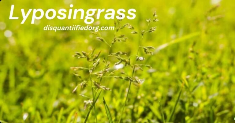 Lyposingrass: Health Benefits, Uses, and More